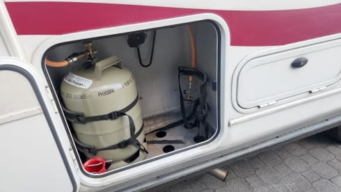 Rolli  – Rolli rolls :-)