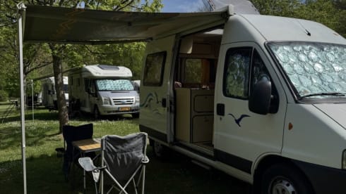 Safari  – 2p Fiat bus uit 2004
