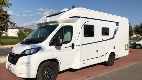 Mik – Bustner Delfin