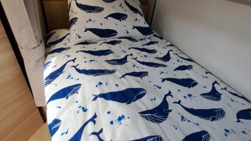 6p Chausson semi-integrated uit 2024