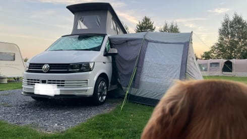 4 berth Volkswagen campervan from 2018