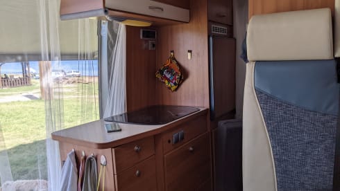 Weinsberg Bus camper of 6m for 2 people