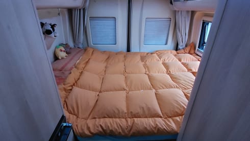 Ciro – Moderno, adatto allo smart working e ai nomadi digitali