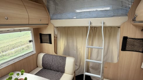 5p Rimor Kentucky Estro 9 Nische