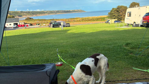 KOJI – 4 berth Volkswagen campervan from 2016