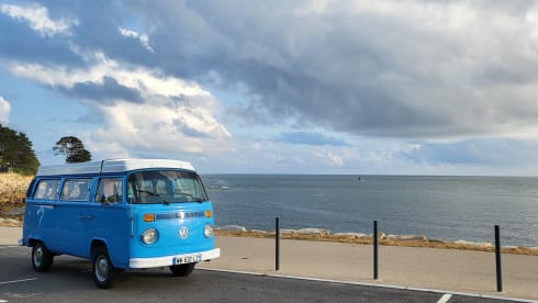 Zeppelin – Vintage Trip, combi westfalia 