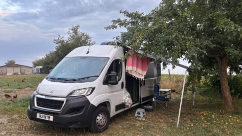 Minty B – 3 berth Peugeot campervan from 2022