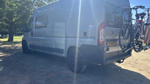 2p Fiat bus from 2023