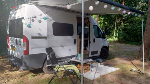 Sorrido – 3p Fiat bus from 2018