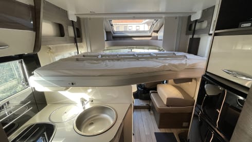 MCLOUIS CARAT 479 model 2021
