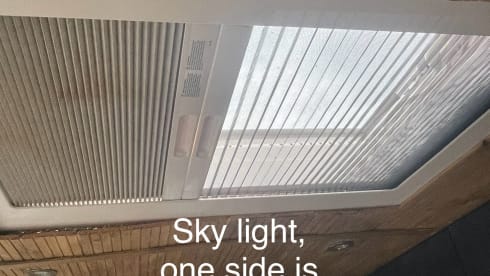 Rita – Rita the Boxer