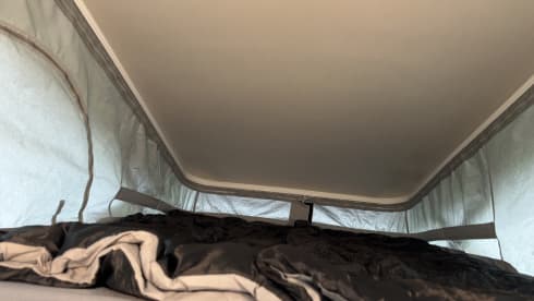 Daisy – 4 berth Autotrail bus from 2024