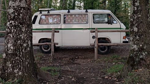 Sagittarius  β The Turbo-Slow Sagittarius