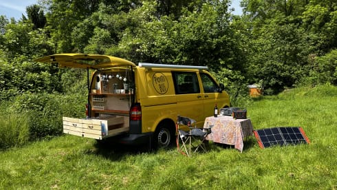Pippin – VW T5 Postbus 