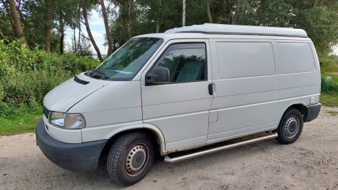 Amerai il nostro bel camper Volkswagen insieme al tuo cane o gatto!