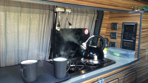 Bert – VW T5 3/4 Berth Campervan Hire