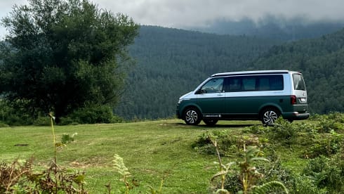 BEACH Green – Volkswagen California COAST Marrone/Grigio Ascot (2021)