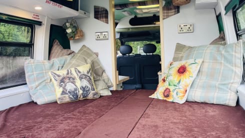 Annie The Ambulance – Ex-Ambulance, 3 Birth, Converted Campervan