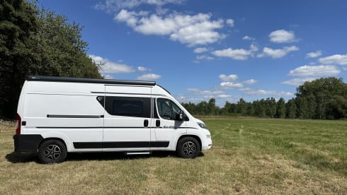 Campie – 3p Fiat bus from 2024