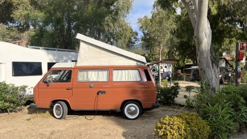 Vanuà – Fantastic Vintage Westfalia Van