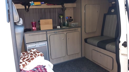 Talullah Zog – 4 berth Volkswagen T5 Campervan from 2012