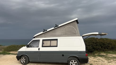 Andrea  – California Carthago