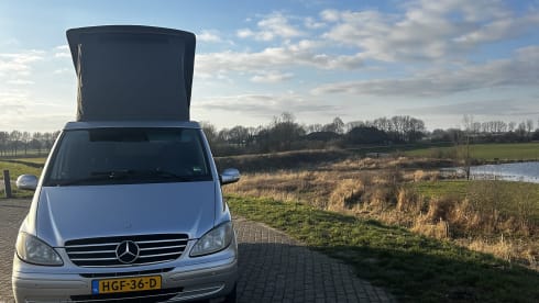 Freek – Marco Polo Viano