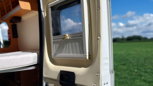 Witte Harrie – Very neat and complete 2-person Fiat camper van from 2007