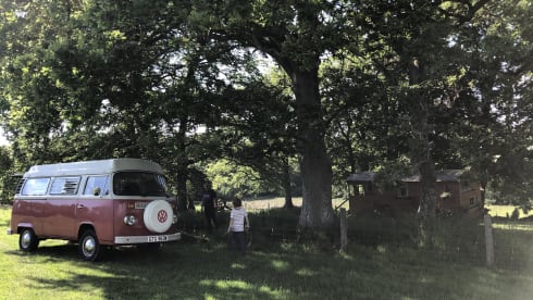 Roses – Vintage Devon 4 berth Volkswagen Camper 1981 - Relaxing Camping Classic 