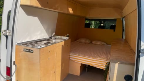 Billy – 2p Mercedes-Benz campervan from 2001