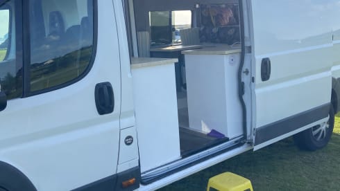 White Shark  – Wild Camper