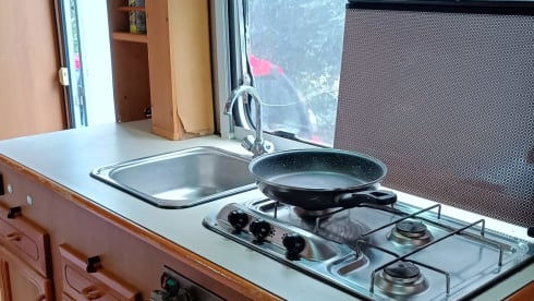 Morçito – Easy-to-manage 4-berth Ford Transit