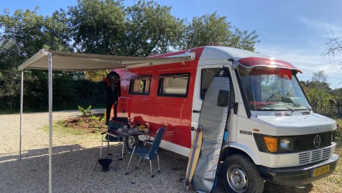 Charlie – Mercedes Charlie 308D