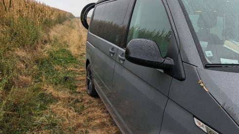 California BEACH edition