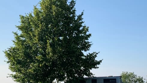 Camperbus – Take the camper bus