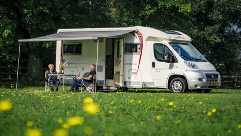 Making Memories! – Spacious luxury camper fully equipped (2-4p) - Central Veluwe