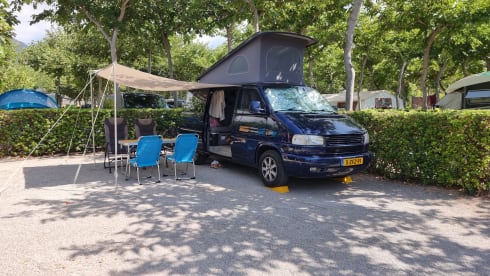 Carloz – * VW California Westfalia - Full option Campervan *