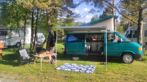 Ted – Nice Volkswagen T4 Westfalia for 3 people