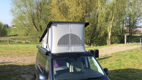 Volkswagen T6 California Ocean 4-motion DSG automatic