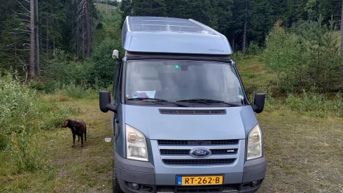 Betrouwbare en gezellige Ford Nugget 2008