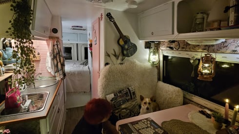 Avonturenbus – Cozy, fresh camper van, self-sufficient.