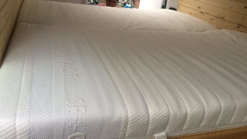 Kermit – On an adventure with our fantastic Kermit the bus camper!