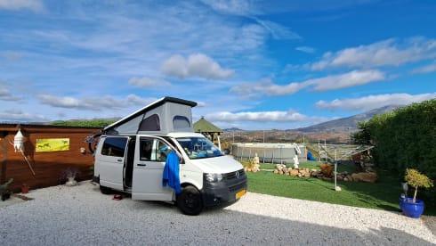 4-seater Volkswagen bus from 2013