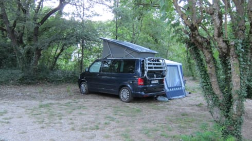 4p Volkswagen bus from 2013