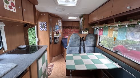 Sunny 🌞 – Fiat Dethleff - Incantevole camper per famiglie da 4 posti 