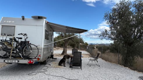 Laika – 4p Laika integrated uit 1998