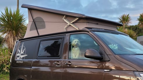 Smudger – 3 berth Westfalia campervan from 2017
