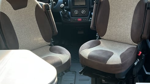 4p Pössl bus uit 2020