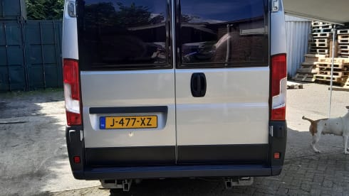 3p Fiat bus from 2020