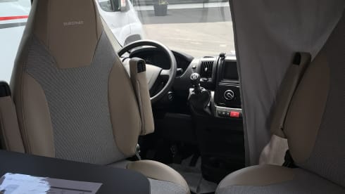 Stef – Magnificent discovery